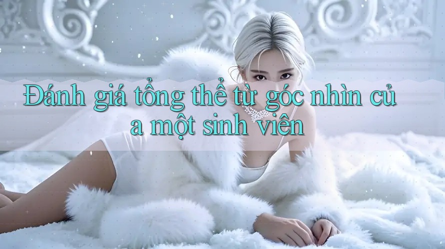 Đánh giá tổng thể từ góc nhìn của một sinh viên Đánh giá tổng thể từ góc nhìn của một sinh viên