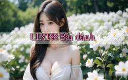lixi88 bài đánh