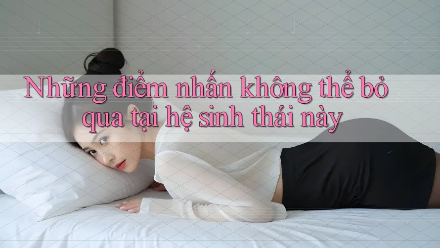 Những điểm nhấn không thể bỏ qua tại hệ sinh thái này Những điểm nhấn không thể bỏ qua tại hệ sinh thái này