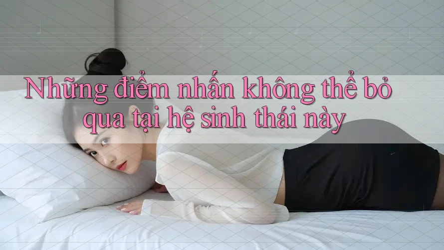 Những điểm nhấn không thể bỏ qua tại hệ sinh thái này Những điểm nhấn không thể bỏ qua tại hệ sinh thái này