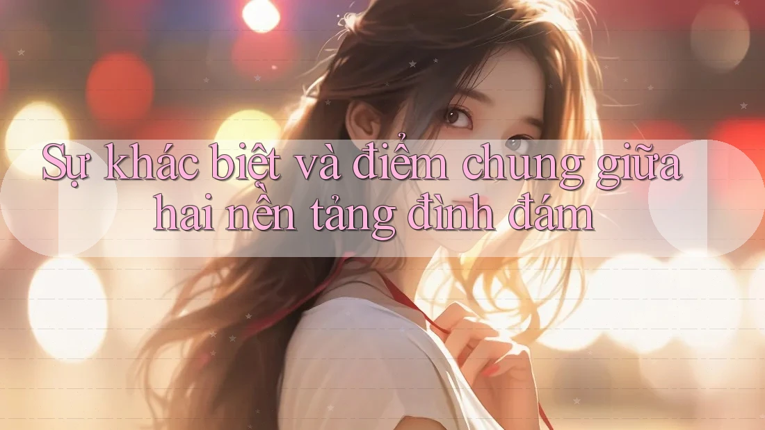 Sự khác biệt và điểm chung giữa hai nền tảng đình đám Sự khác biệt và điểm chung giữa hai nền tảng đình đám