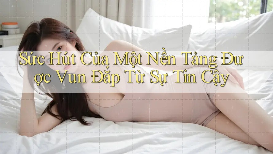 Sức Hút Của Một Nền Tảng Được Vun Đắp Từ Sự Tin Cậy Sức Hút Của Một Nền Tảng Được Vun Đắp Từ Sự Tin Cậy