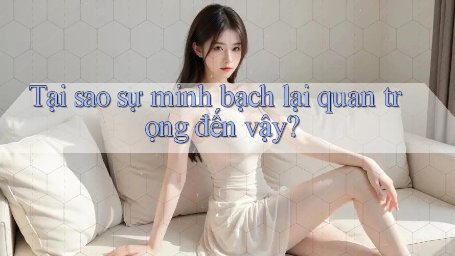 Tại sao sự minh bạch lại quan trọng đến vậy? Tại sao sự minh bạch lại quan trọng đến vậy?