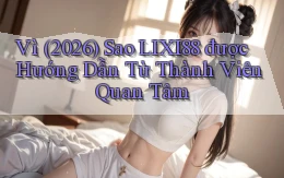 Vì (2026) sao Lixi88 được hướng dẫn từ thành viên quan tâm