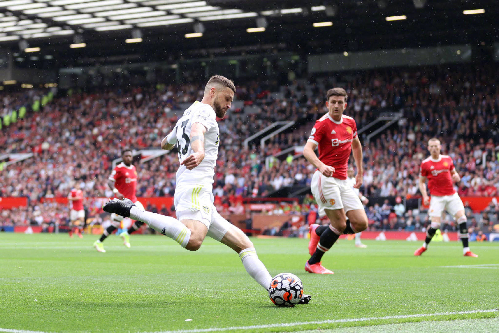 导能力的球 导能力的球